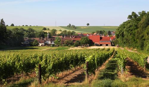 Weinfest in Dierbach